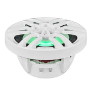 DS18 NXL-6 white marine speakers
