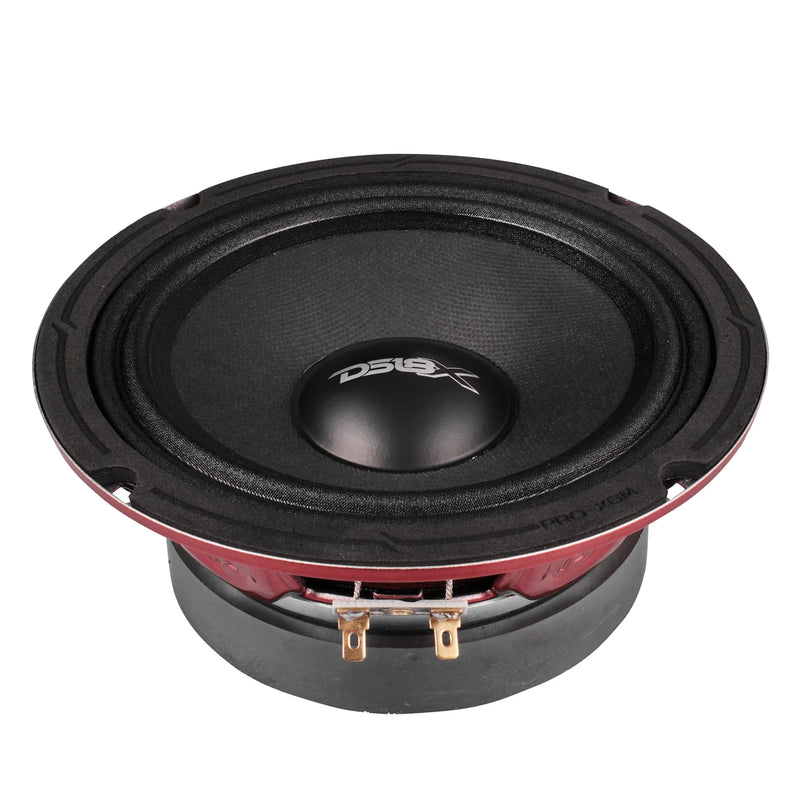 DS18 PRO-X6M PRO Series 250W RMS loudspeaker